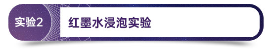 永信贵宾会-欢迎您