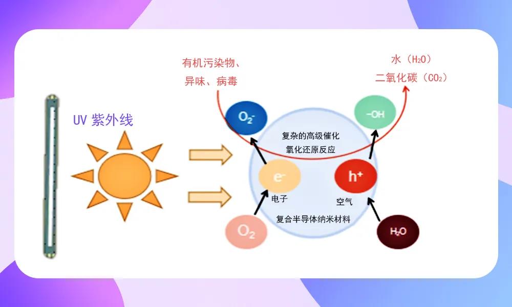 永信贵宾会-欢迎您