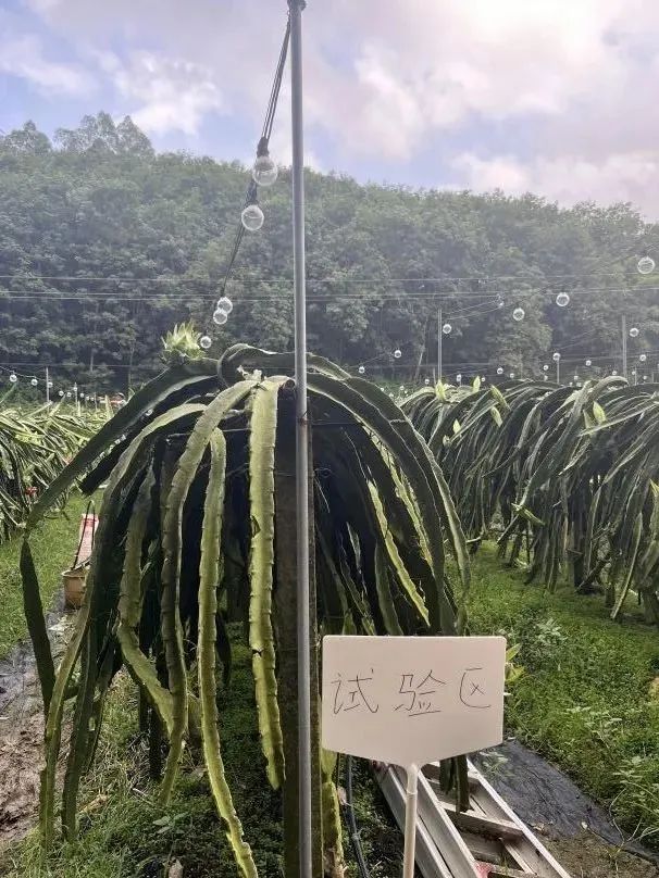 微信图片_20250206090403.jpg